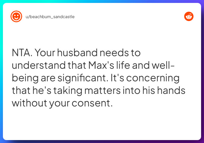 Comment from u/beachbum_sandcastle