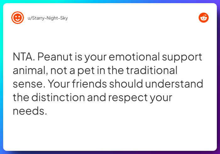 Comment from u/Starry-Night-Sky