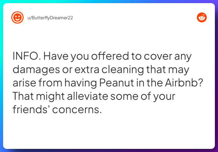 Comment from u/ButterflyDreamer22