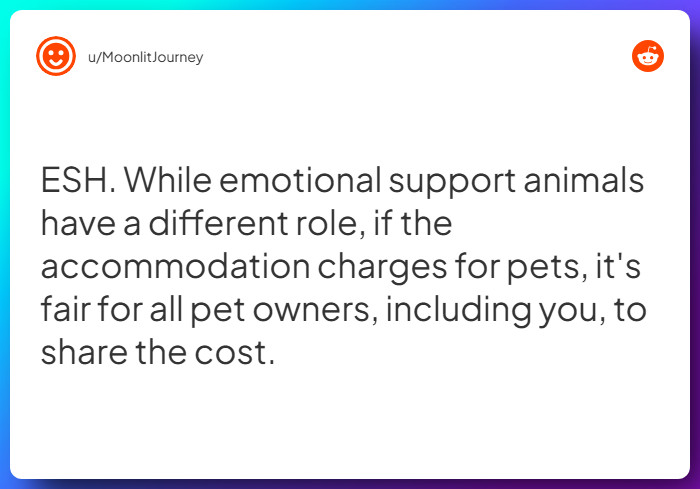 Comment from u/MoonlitJourney