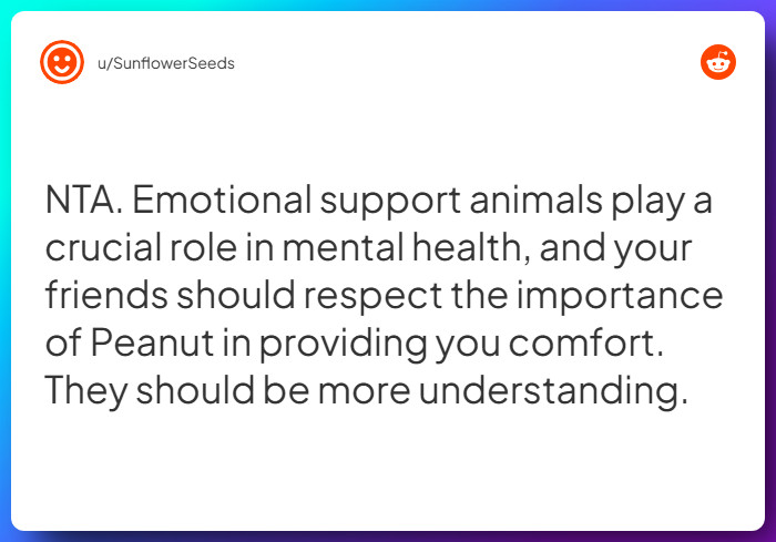 Comment from u/SunflowerSeeds