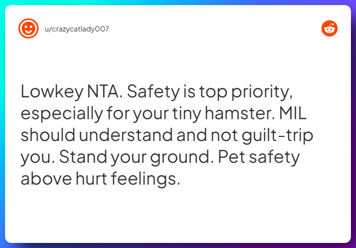 Comment from u/crazycatlady007