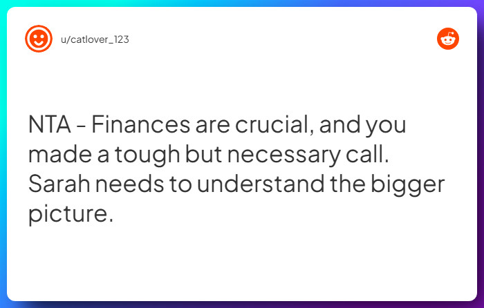 Comment from u/catlover_123