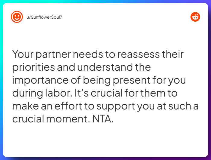 Comment from u/SunflowerSoul7