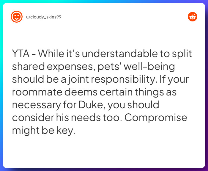 Comment from u/cloudy_skies99