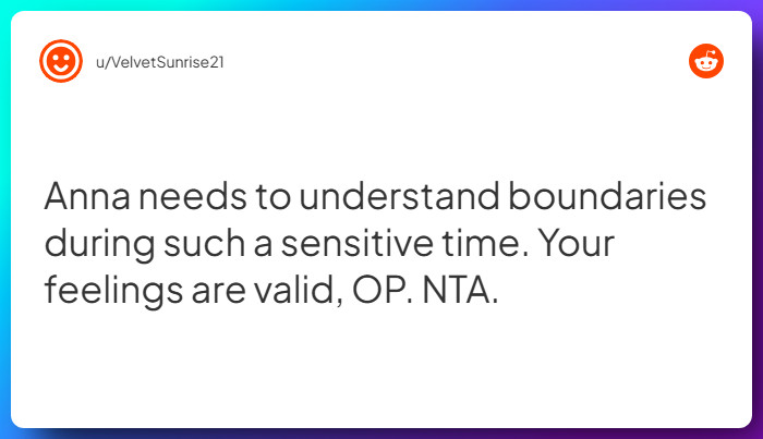 Comment from u/VelvetSunrise21