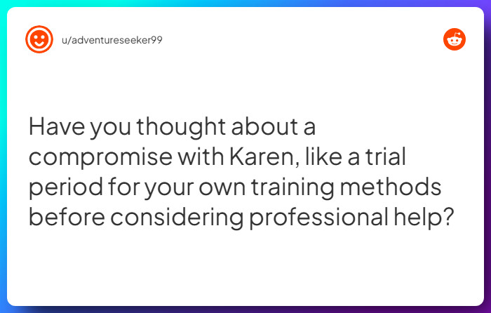 Comment from u/adventureseeker99