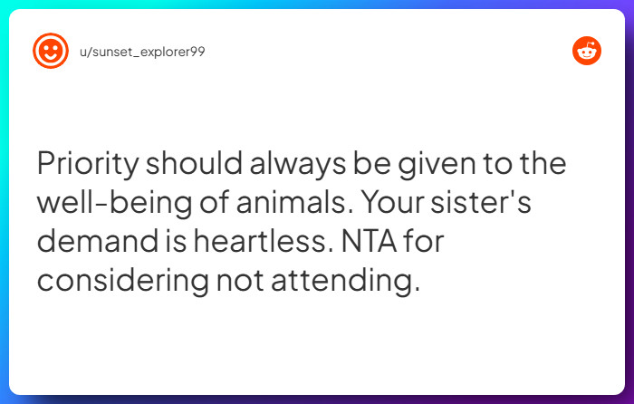 Comment from u/sunset_explorer99