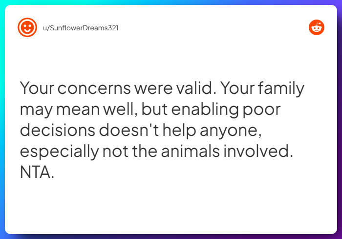 Comment from u/SunflowerDreams321