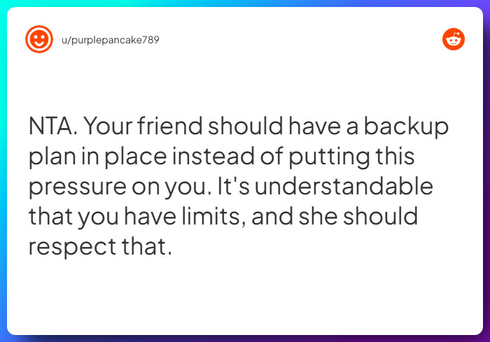 Comment from u/purplepancake789