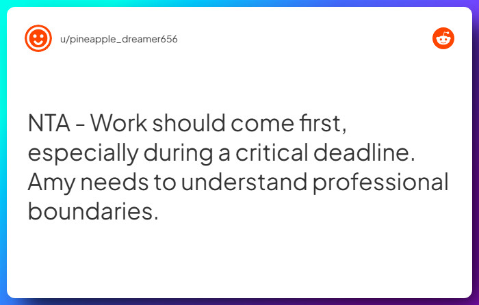 Comment from u/pineapple_dreamer656