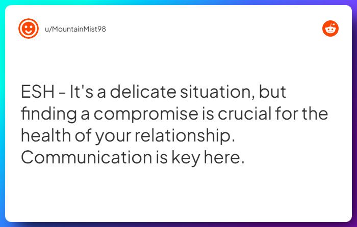 Comment from u/MountainMist98