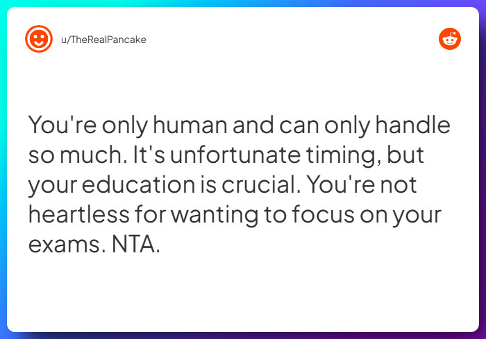 Comment from u/TheRealPancake