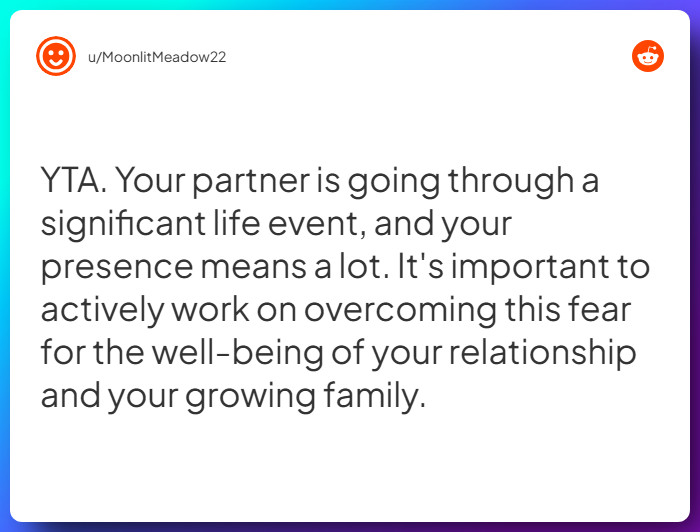 Comment from u/MoonlitMeadow22