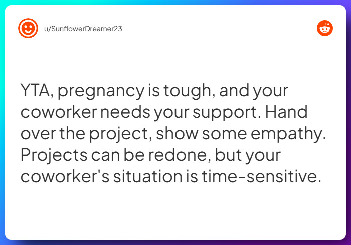 Comment from u/SunflowerDreamer23