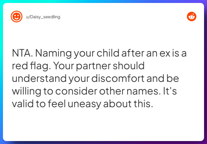 Comment from u/Daisy_seedling