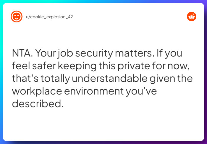 Comment from u/cookie_explosion_42