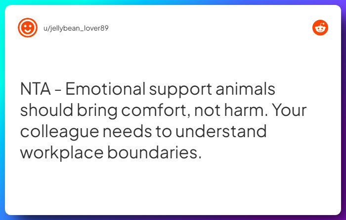 Comment from u/jellybean_lover89