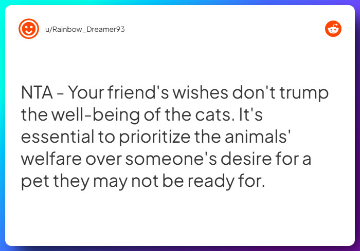 Comment from u/Rainbow_Dreamer93