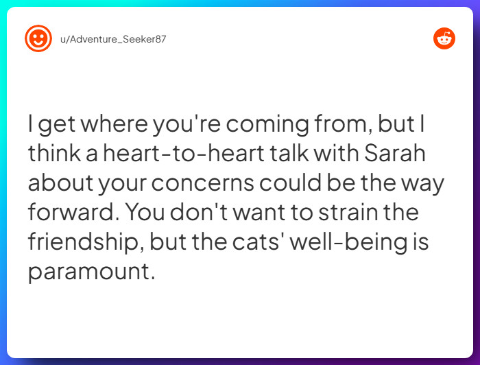 Comment from u/Adventure_Seeker87