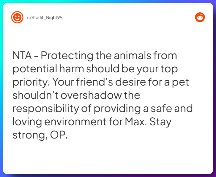 Comment from u/Starlit_Night99