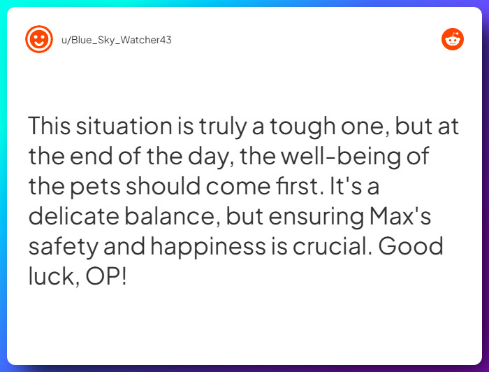 Comment from u/Blue_Sky_Watcher43