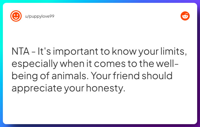 Comment from u/puppylove99