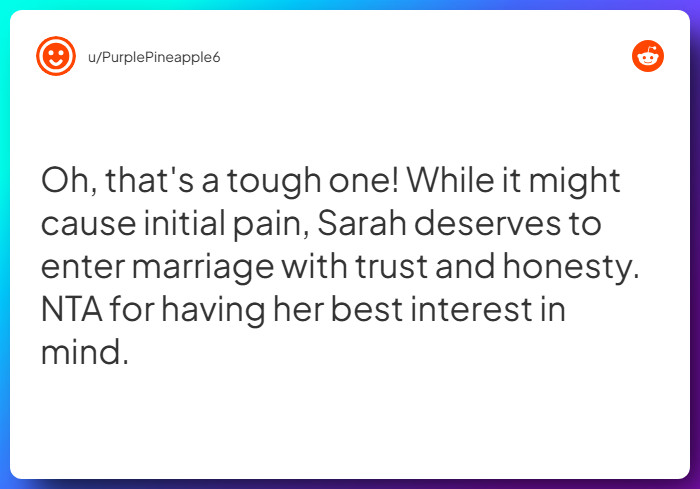 Comment from u/PurplePineapple6