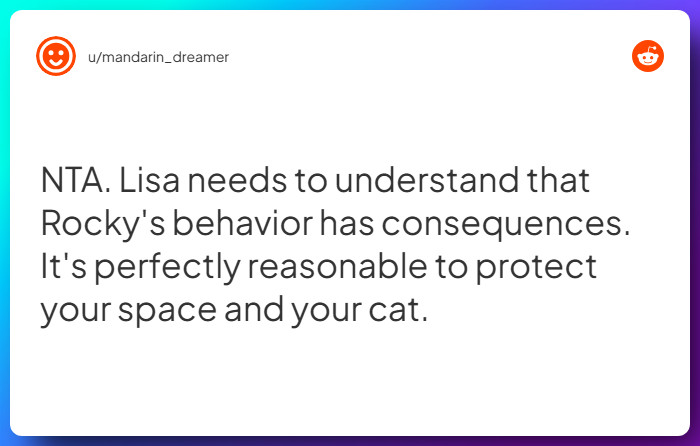 Comment from u/mandarin_dreamer