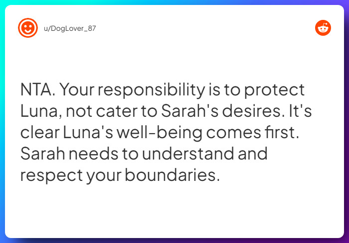 Comment from u/DogLover_87