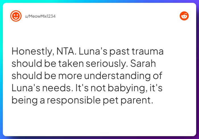 Comment from u/MeowMix1234