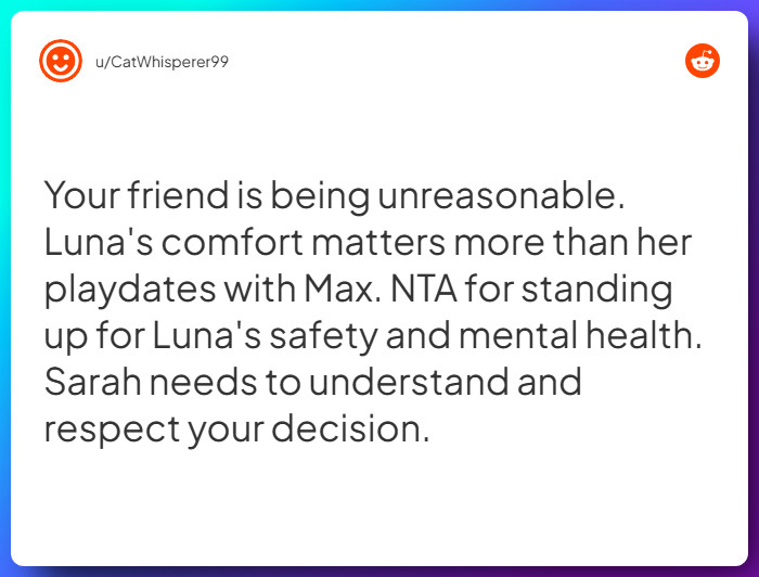 Comment from u/CatWhisperer99