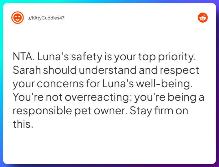 Comment from u/KittyCuddles47