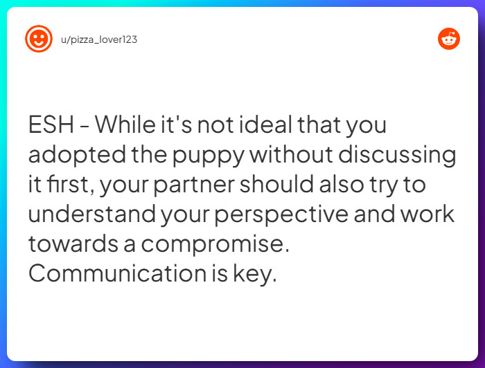 Comment from u/pizza_lover123