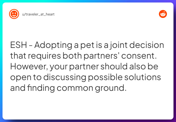 Comment from u/traveler_at_heart