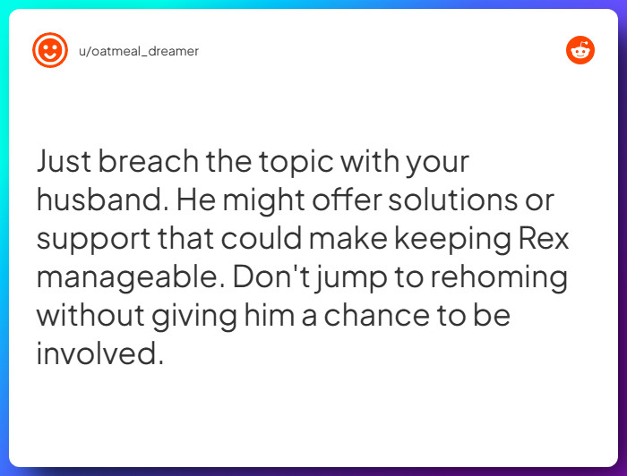 Comment from u/oatmeal_dreamer