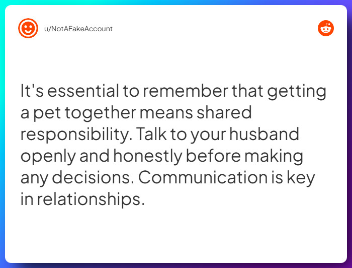 Comment from u/NotAFakeAccount