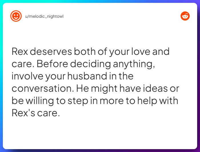 Comment from u/melodic_nightowl