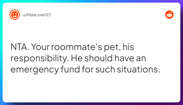 Comment from u/PizzaLover123