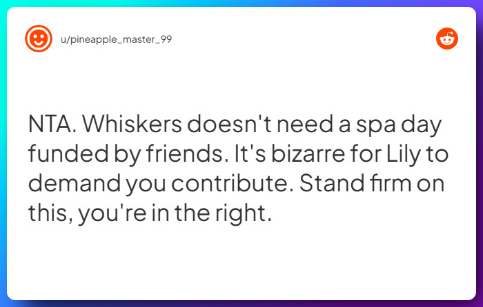 Comment from u/pineapple_master_99