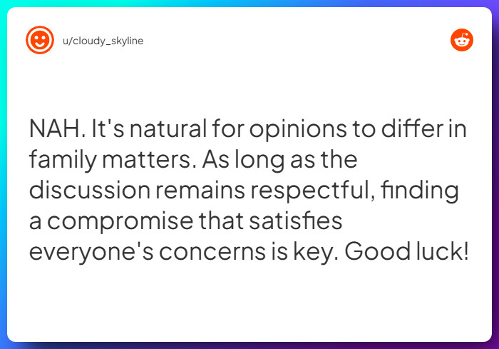 Comment from u/cloudy_skyline