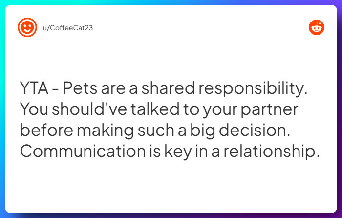 Comment from u/CoffeeCat23