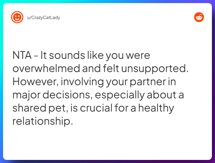 Comment from u/CrazyCatLady