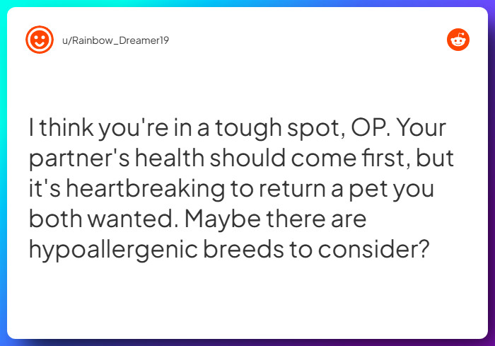 Comment from u/Rainbow_Dreamer19