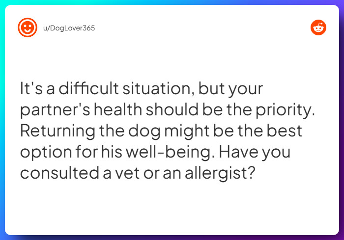 Comment from u/DogLover365