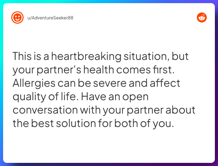 Comment from u/AdventureSeeker88