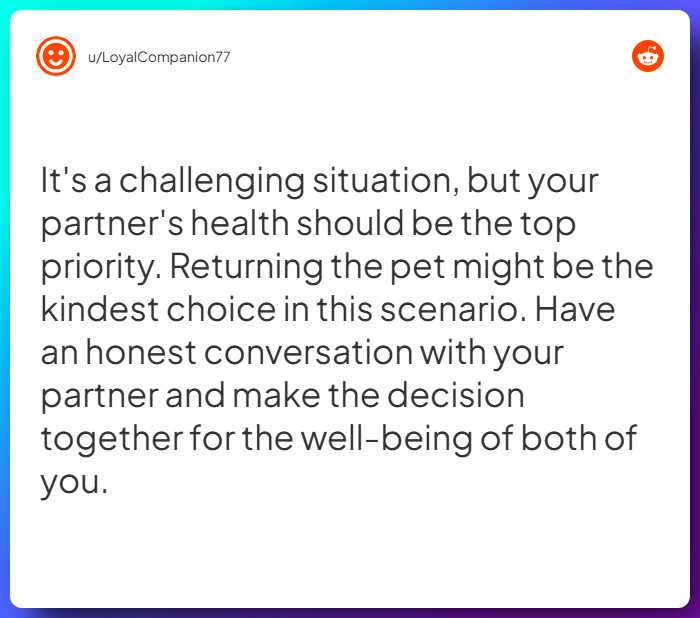 Comment from u/LoyalCompanion77