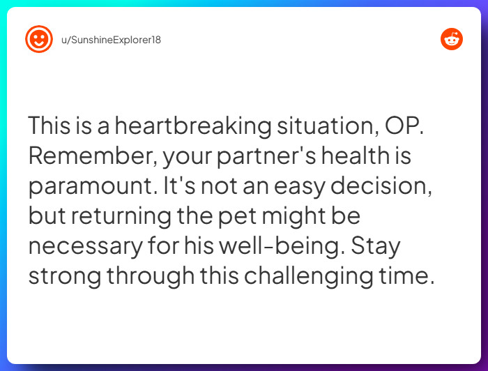 Comment from u/SunshineExplorer18