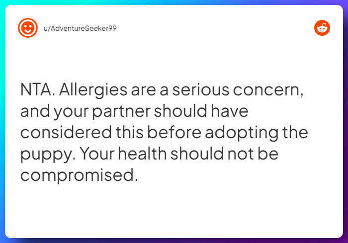 Comment from u/AdventureSeeker99