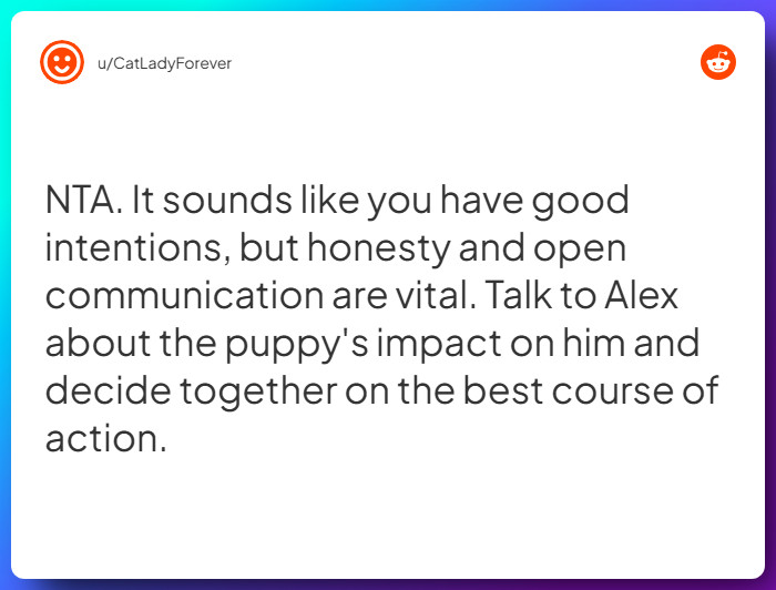 Comment from u/CatLadyForever